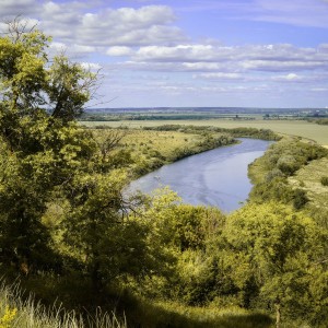 Воронежские просторы